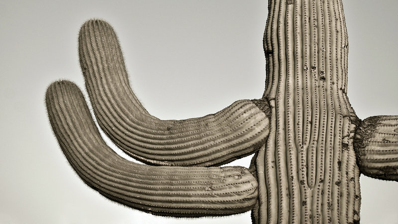 qq电话半夜自动挂