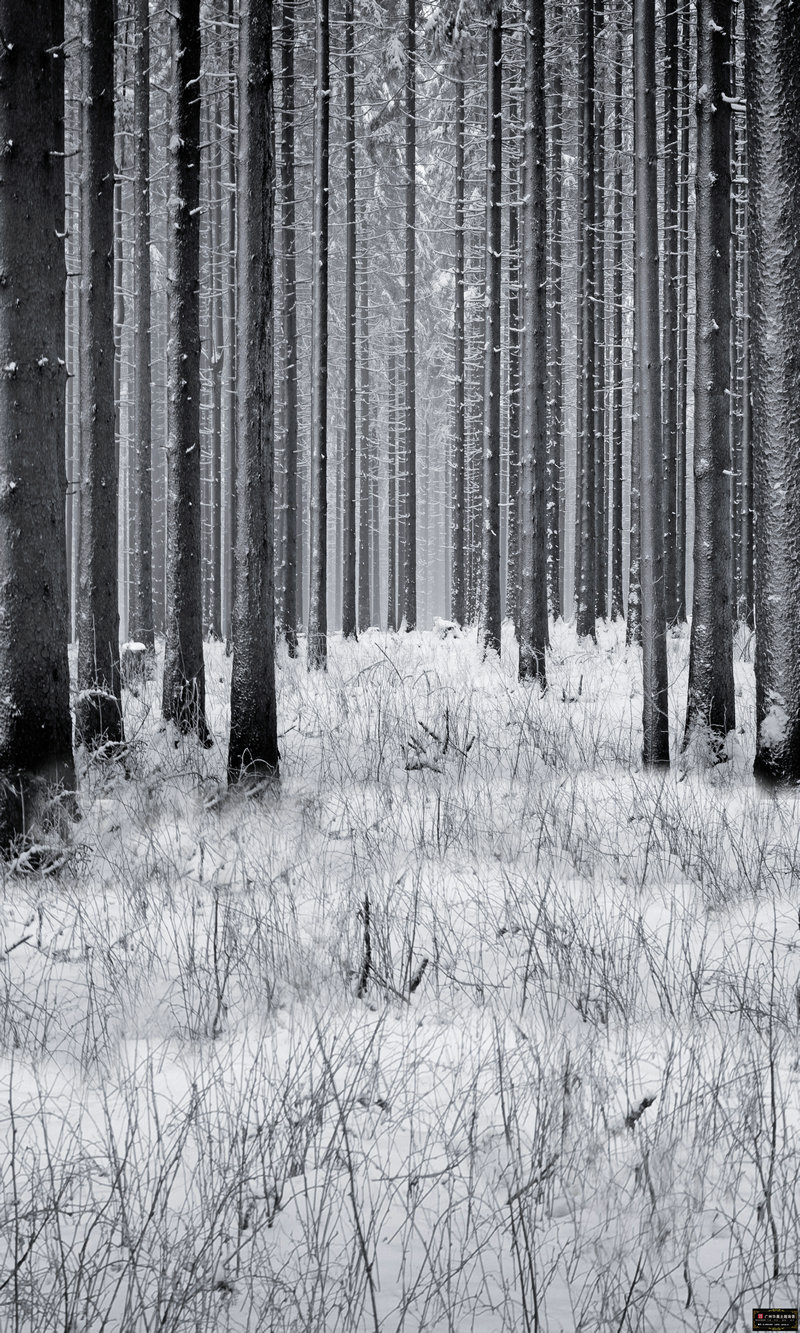 涛哥奇闻录 涛哥杂谈怎么样