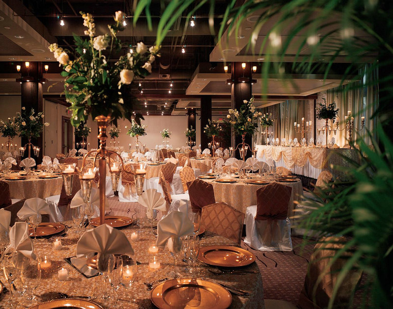 董卿的丈夫春雷简历 董卿丈夫余春雷是干什么的