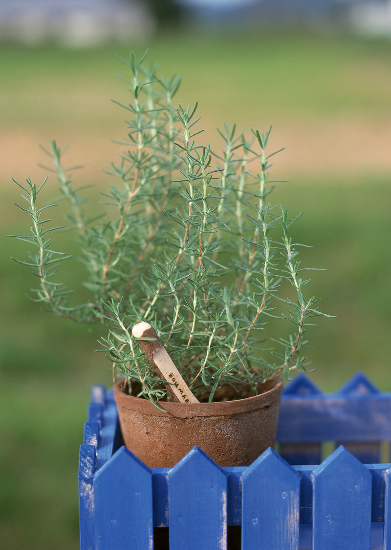 恒昌财富可靠吗