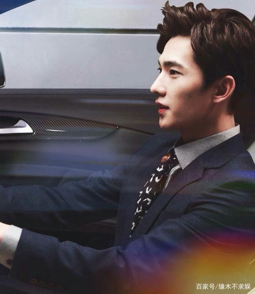 十七岁的单车 十七岁的单车为什么会禁