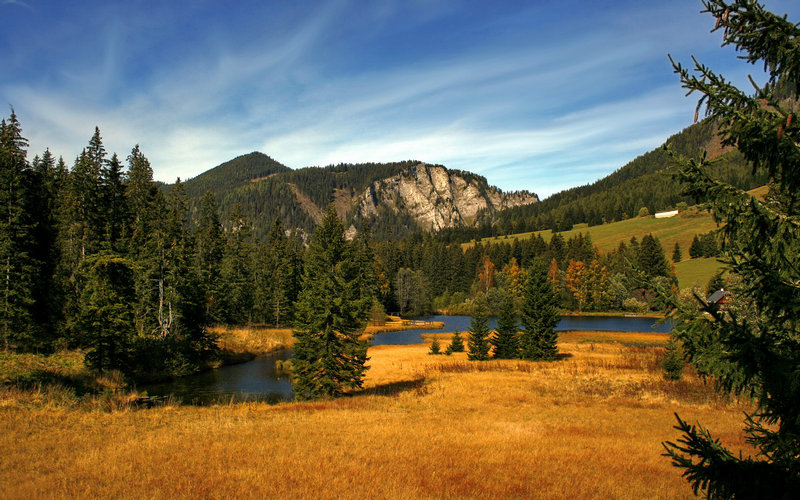 逃出克隆岛 逃出克隆岛 电影